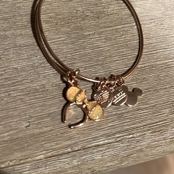 alex and ani rose gold disney nwot - Picture 2 of 2